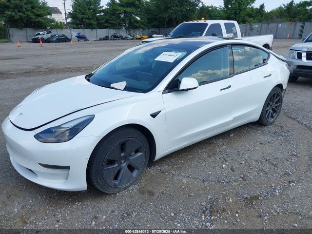 2022 TESLA MODEL 3 5YJ3E1EA3NF115223 Photo 1
