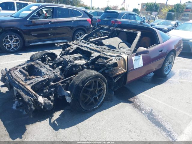 1995 CHEVROLET CORVETTE 1G1YY22P5S5103138 Photo 1