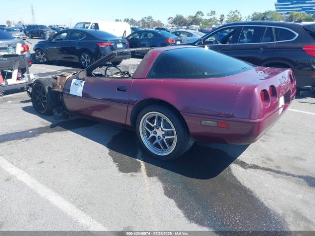 1995 CHEVROLET CORVETTE 1G1YY22P5S5103138 Photo 2