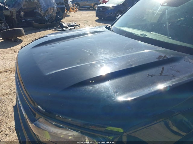 3FMCR9C6XPRE29238 Ford dragon