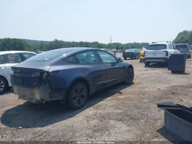 2023 TESLA MODEL 3 5YJ3E1EA2PF646352 Photo 3
