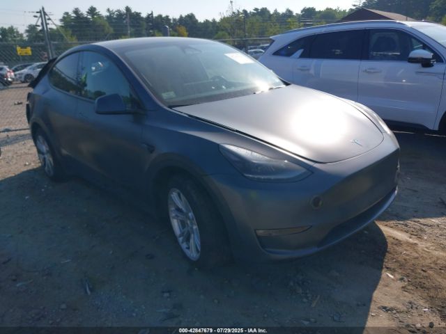 2023 TESLA MODEL Y 7SAYGAEE9PF945648 Photo 0