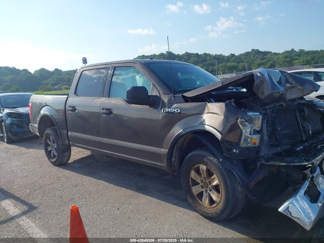 Ford F-150 2015 1FTEW1E87FFB84545 Image 13