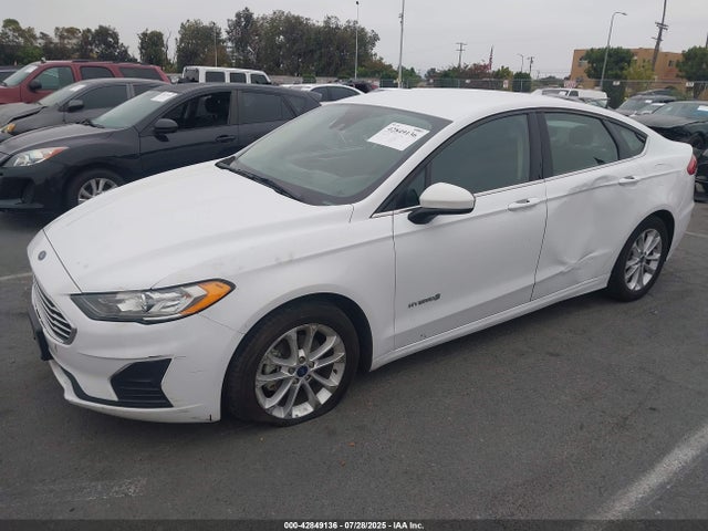 Ford 2019 2019 3FA6P0LU1KR205310 Image 2