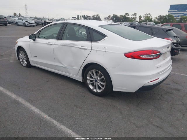 Ford 2019 2019 3FA6P0LU1KR205310 Image 3