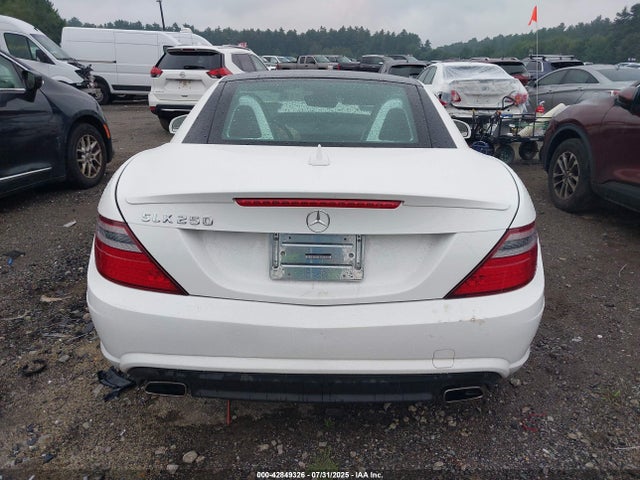 Mercedes-Benz SLK-Class 2014 WDDPK4HA0EF088507 Image 16