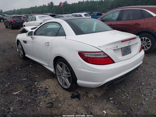 Mercedes-Benz SLK-Class 2014 WDDPK4HA0EF088507 Image 3