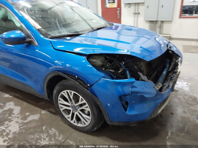 1FMCU9H68MUA94492 Ford dragon di tc