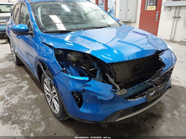 1FMCU9H68MUA94492 Ford dragon di tc