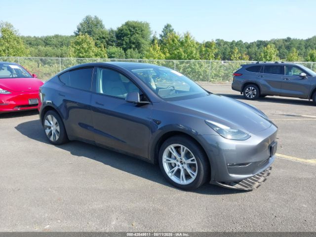 2023 TESLA MODEL Y 7SAYGDEE9PF829917 Photo 0