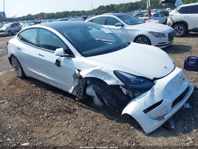 2023 TESLA MODEL 3 5YJ3E1EAXPF544572 Photo 0