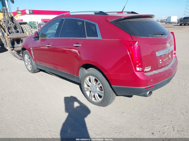 2010 CADILLAC SRX 3GYFNAEY5AS560407 Photo 2