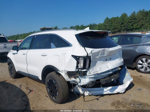 2025 KIA SORENTO 5XYRLDJC0SG322858 Photo 2