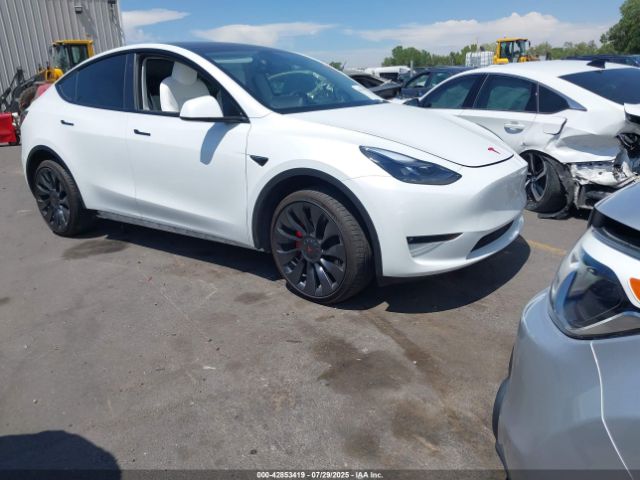 2023 TESLA MODEL Y 7SAYGDEF9PF740292 Photo 0