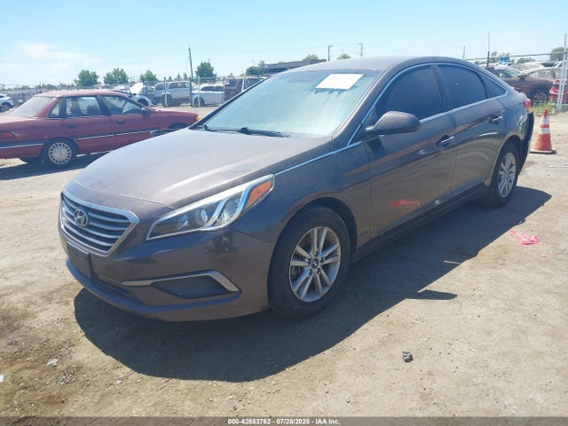 5NPE24AF4HH545692 Hyundai 2017