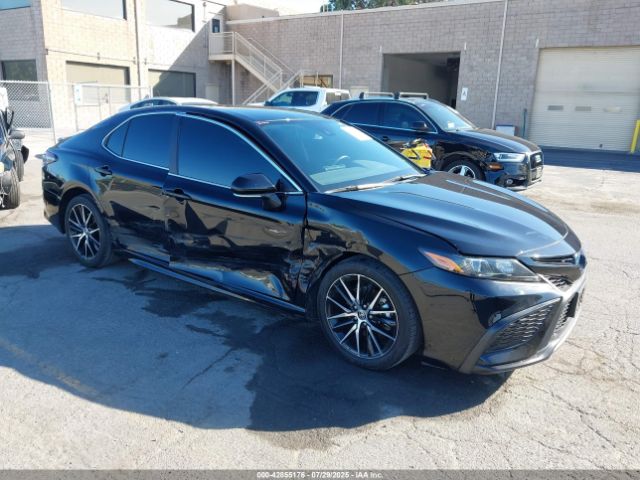 2024 TOYOTA CAMRY HYBRID 4T1G31AK3RU621097