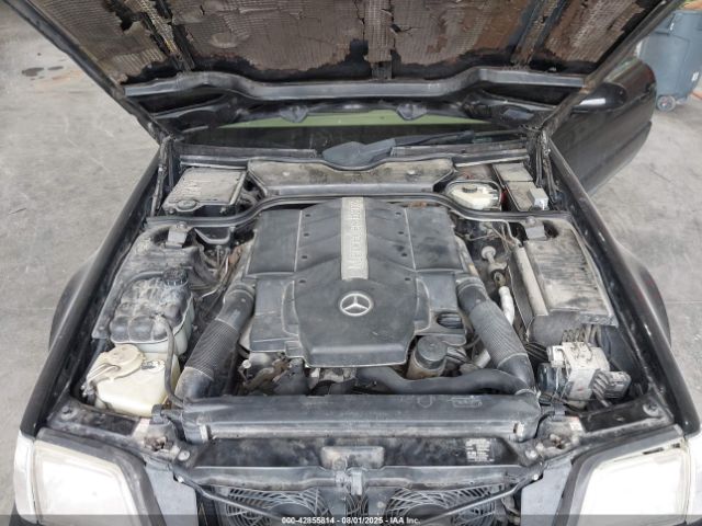 1999 MERCEDES-BENZ SL 500 WDBFA68F0XF187281 Photo 9