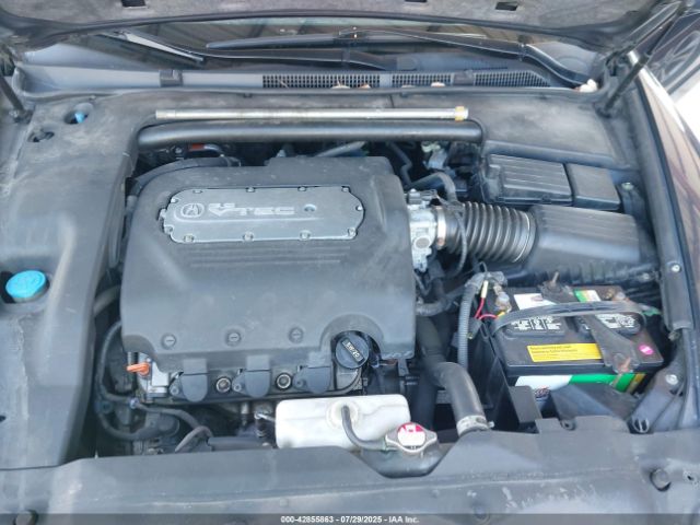 2004 ACURA TL 19UUA66234A055585 Photo 9