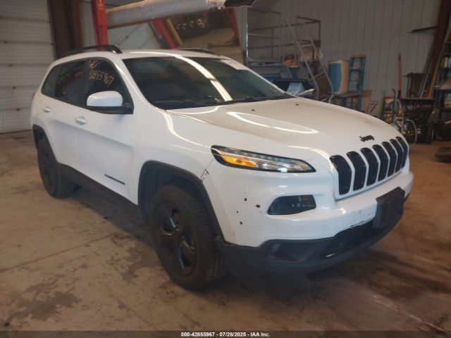 2017 JEEP CHEROKEE 1C4PJMDB1HW633565