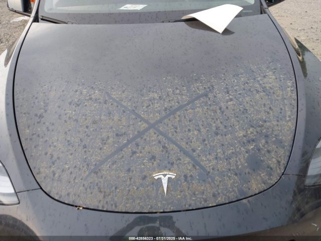2024 TESLA MODEL Y 7SAYGDED7RF196716 Photo 9