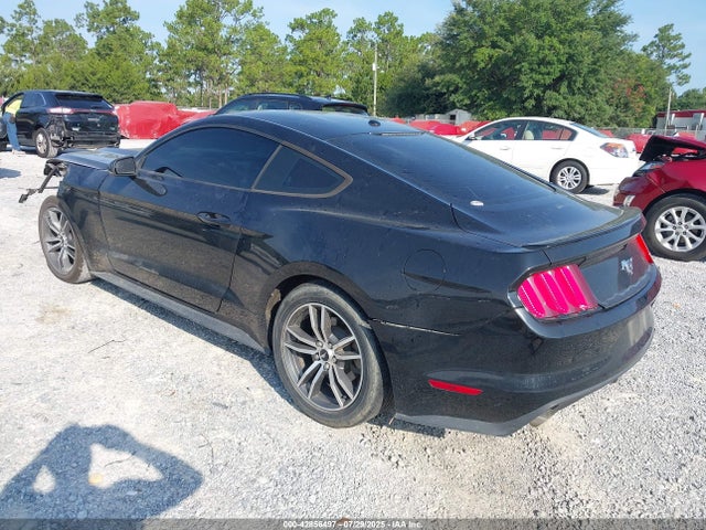 Ford 2016 2016 1FA6P8TH1G5217288 Image 3