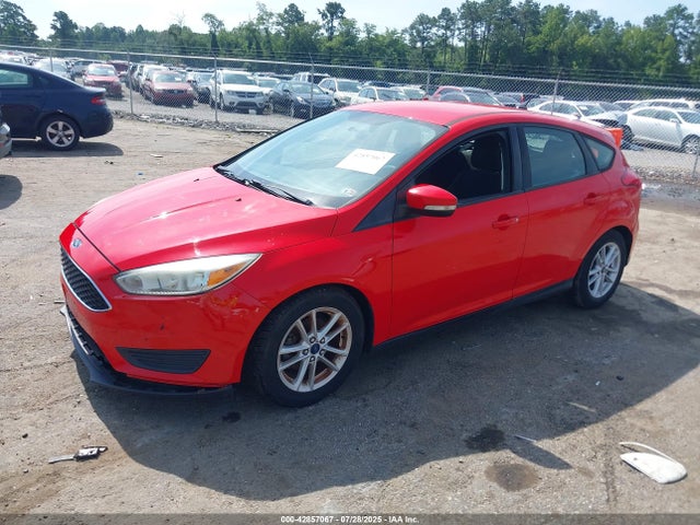 1FADP3K23FL233512 Ford Focus