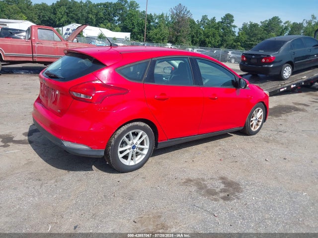 1FADP3K23FL233512 Ford Focus