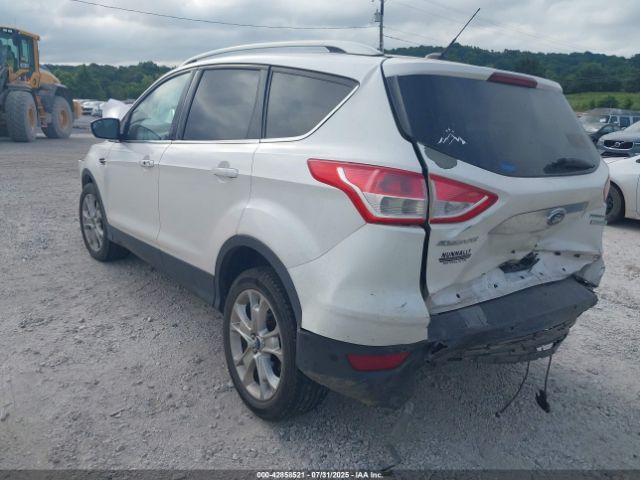2014 FORD ESCAPE 1FMCU0J97EUB73606 Photo 2