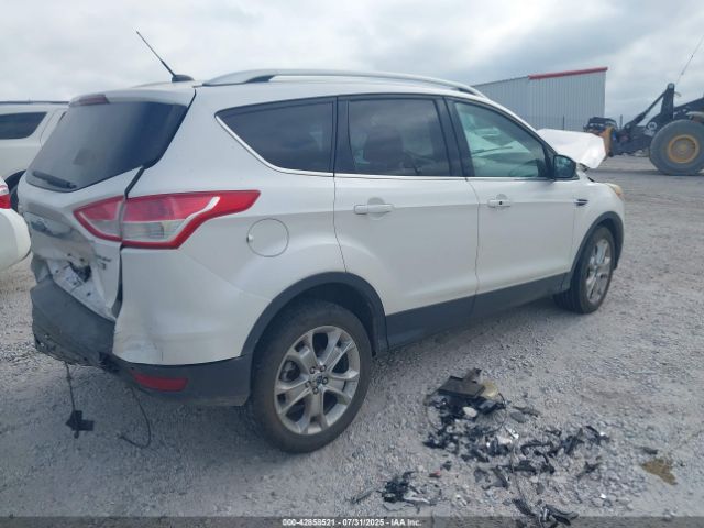 2014 FORD ESCAPE 1FMCU0J97EUB73606 Photo 3