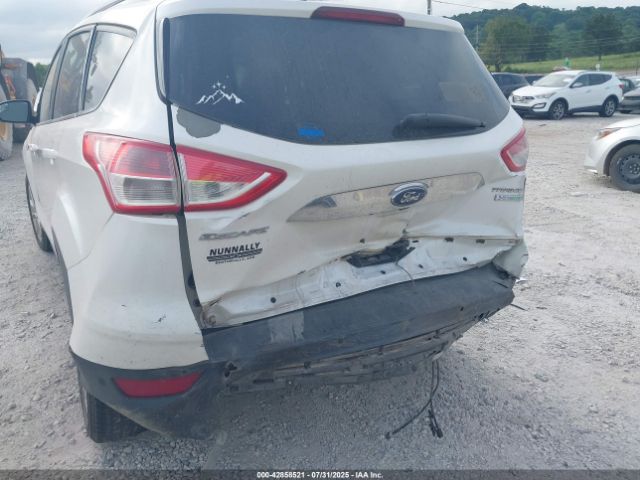 2014 FORD ESCAPE 1FMCU0J97EUB73606 Photo 5