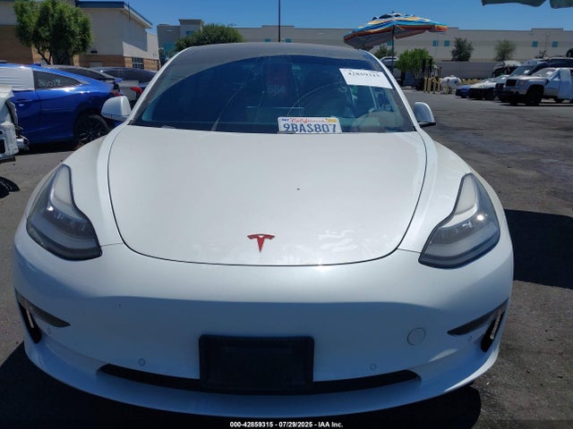 Tesla MODEL 3 2019 5YJ3E1EB3KF365176 Image 13