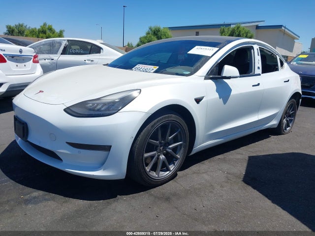 Tesla MODEL 3 2019 5YJ3E1EB3KF365176 Image 2