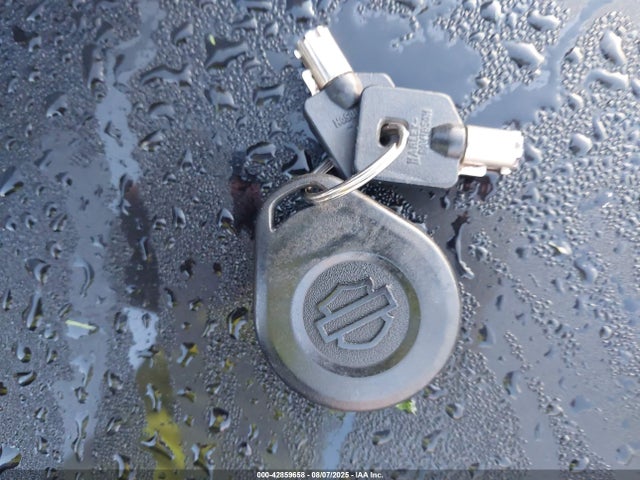 Harley-Davidson Street Glide Special 2015 1HD1KRM10FB694321 Image 11