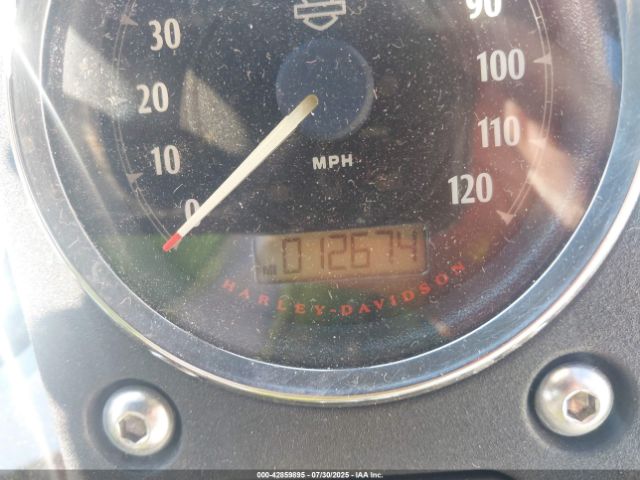 2013 HARLEY-DAVIDSON FXDB 1HD1GX411DC322516 Photo 6