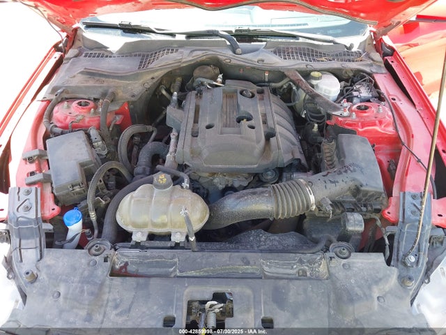 Ford 4v 2019 1FATP8UH2K5170797 Image 10