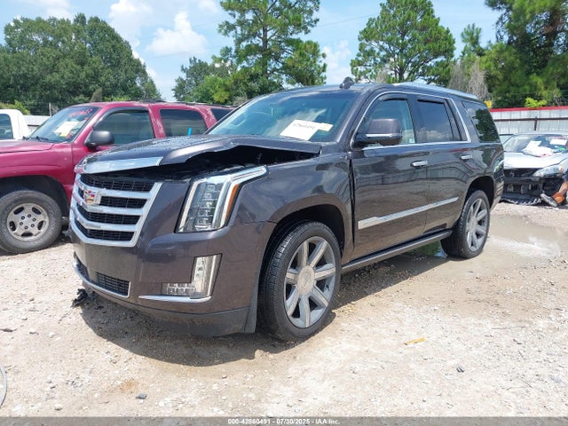 2016 CADILLAC ESCALADE 1GYS3CKJ1GR431521 Photo 1