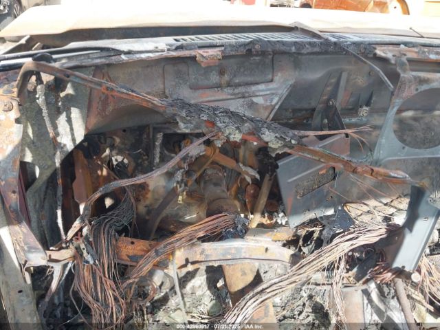 1985 FORD BRONCO 1FMDU15NXFLA68616 Photo 6