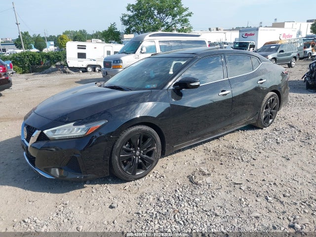 Nissan Maxima 2020 1N4AA6DV9LC380538 Image 2