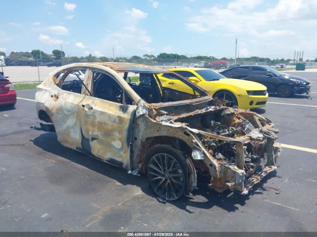 2025 LEXUS NX 250 2T2ADCAZXSC022079