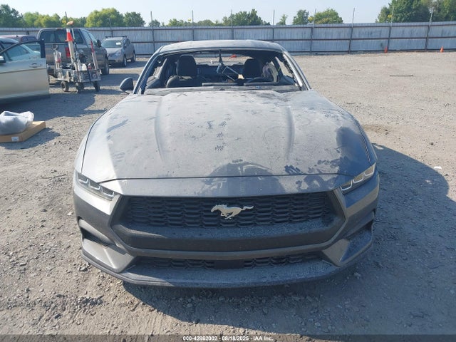Продажа на аукционе авто 2024 Ford Mustang Ecoboost Fastback, vin: 1FA6P8TH6R5112247, номер лота: 42862002