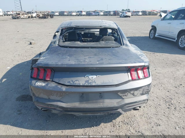 Продажа на аукционе авто 2024 Ford Mustang Ecoboost Fastback, vin: 1FA6P8TH6R5112247, номер лота: 42862002