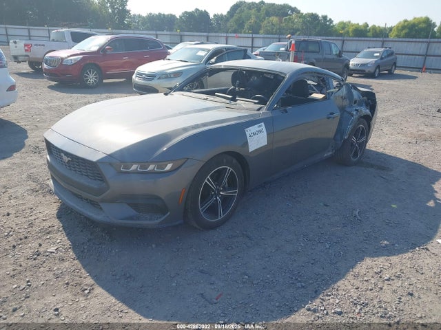 2024 FORD MUSTANG 1FA6P8TH6R5112247 Photo 1