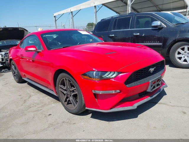 Ford 2020 2020 1FA6P8TH9L5137053 Image 1