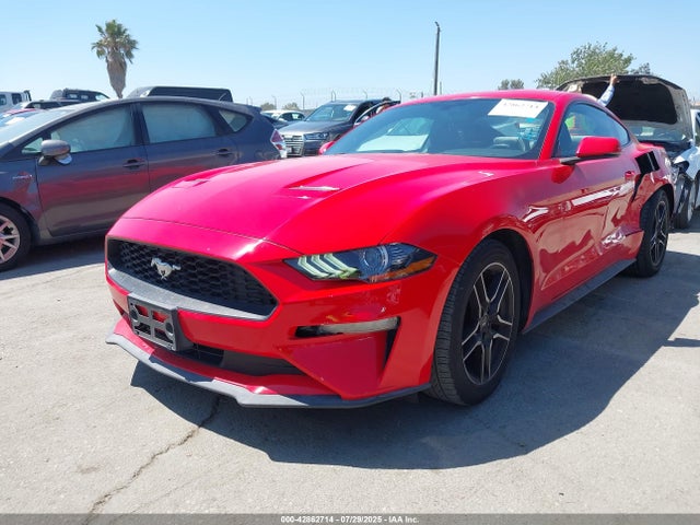 Ford 2020 2020 1FA6P8TH9L5137053 Image 2