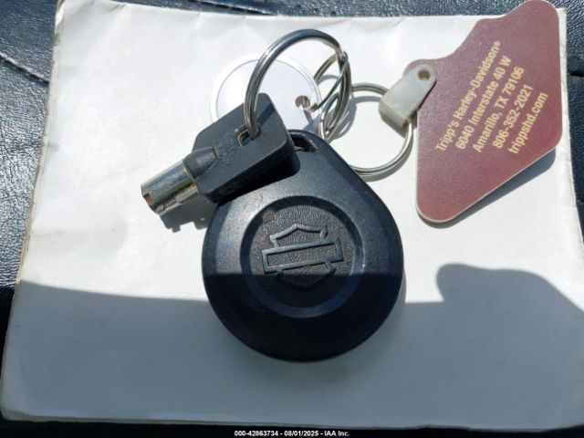 2009 HARLEY-DAVIDSON FLHTCU 1HD1FC4109Y603793 Photo 10