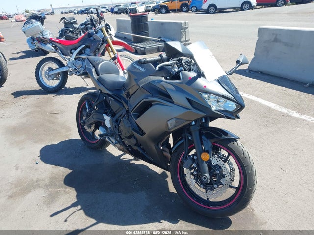 Kawasaki 2024 2024 ML5EXER18RDAC8945 main image