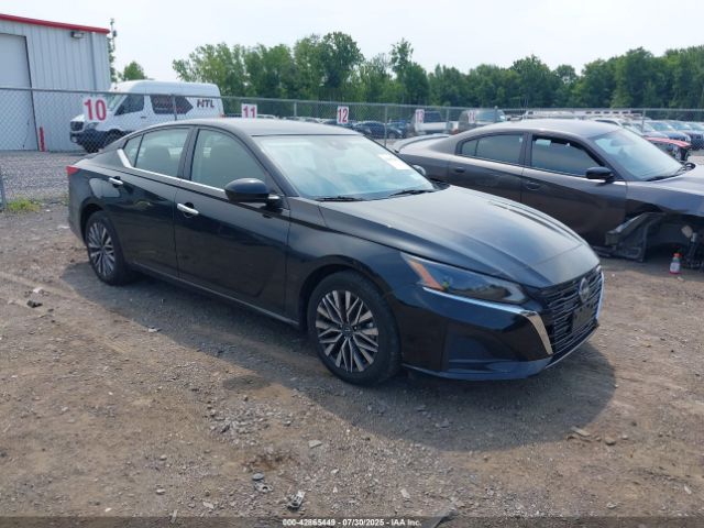 2023 NISSAN ALTIMA 1N4BL4DV6PN361393