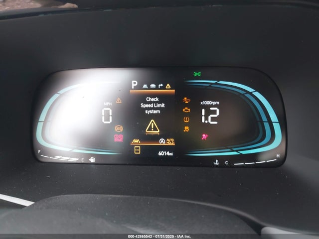 Aukcja sprzedaży 2024 Hyundai Palisade Sel, vin: KM8R24GE1RU805940, numer aukcji: 42865542