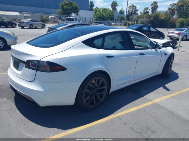 2024 TESLA MODEL S 5YJSA1E52RF534003 Photo 3