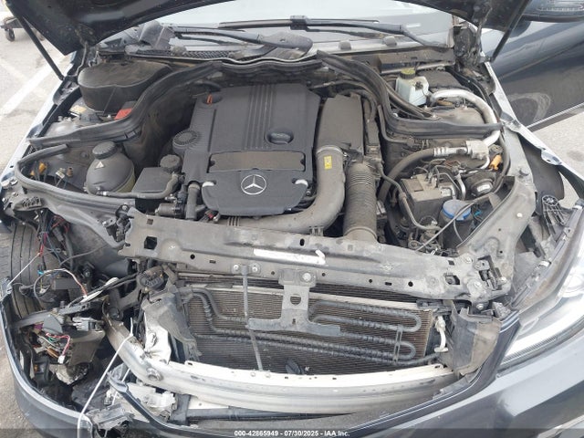 WDDGF4HB4EG254230 Mercedes-Benz 2014